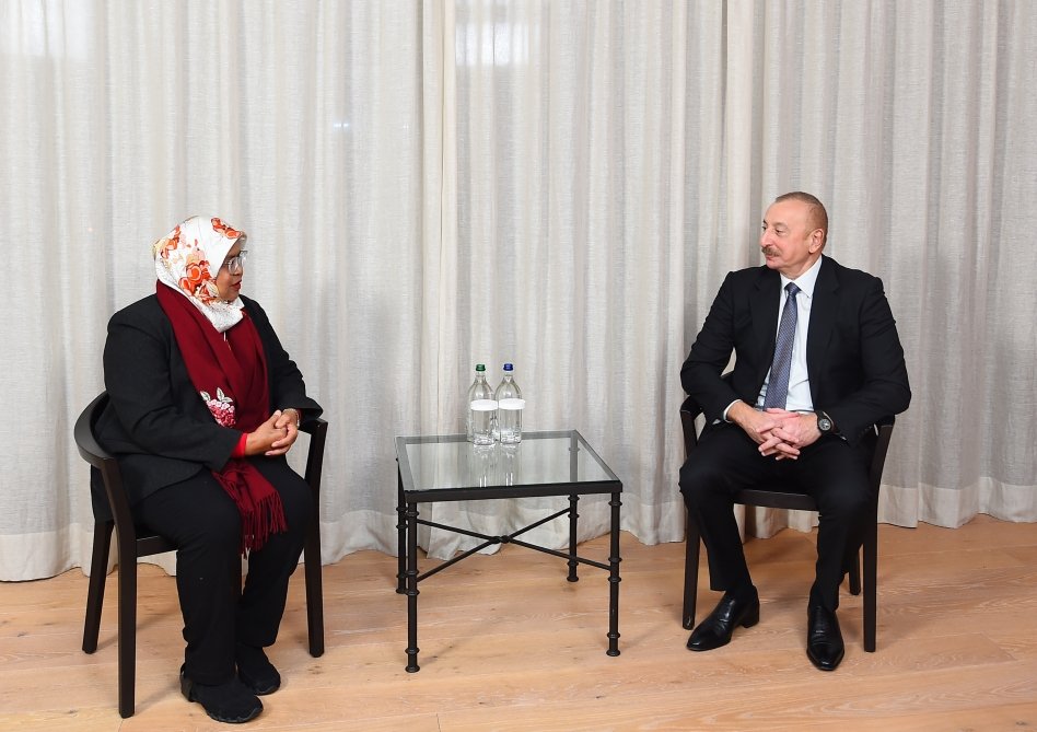 İlham Əliyev BMT-nin Məskunlaşma Proqramının icraçı direktoru ilə görüşdü - FOTO  - foto 1