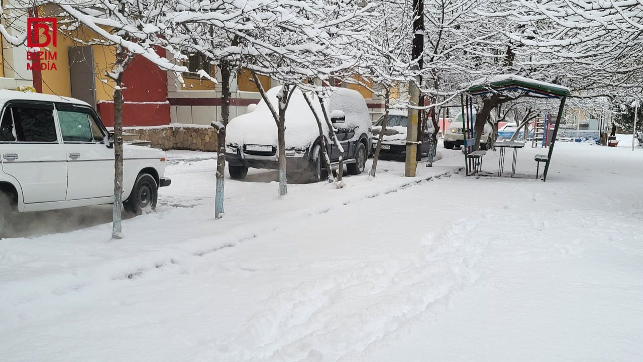 Qusarda ilk qar – FOTO/VİDEO - foto 5