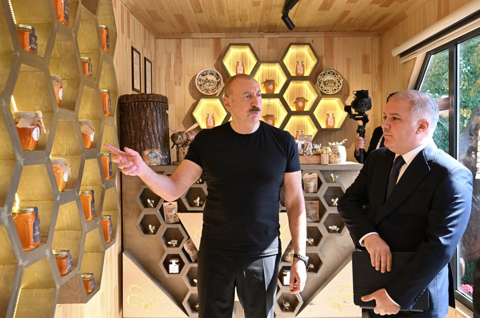 Prezident “Balland – Kəlbəcər balı, arı və arıçılıq məhsulları mağazası”nın açılışında - FOTO/VİDEO - foto 3