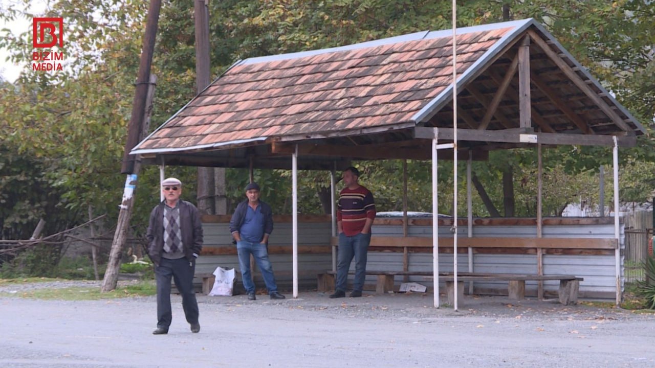 Dabaq xəstəliyi Şəki-Zaqatalanı da BÜRÜDÜ – “Vaksin fayda vermir, mal-qaralar TƏLƏF olur” – FOTO - foto 1