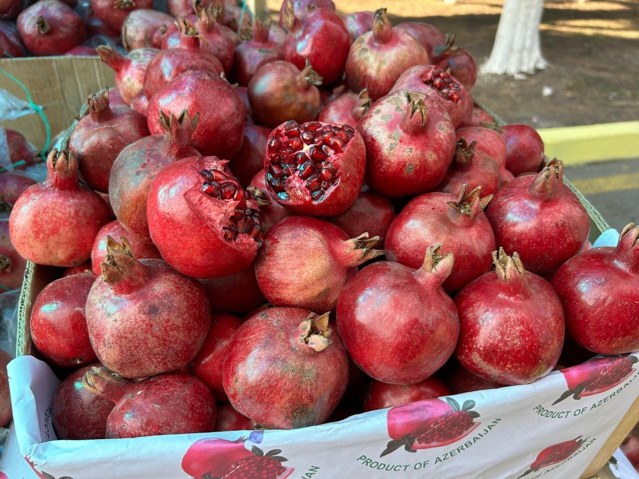 Göyçayda ənənəvi "Nar Festivalı" keçirildi - FOTO - foto 5