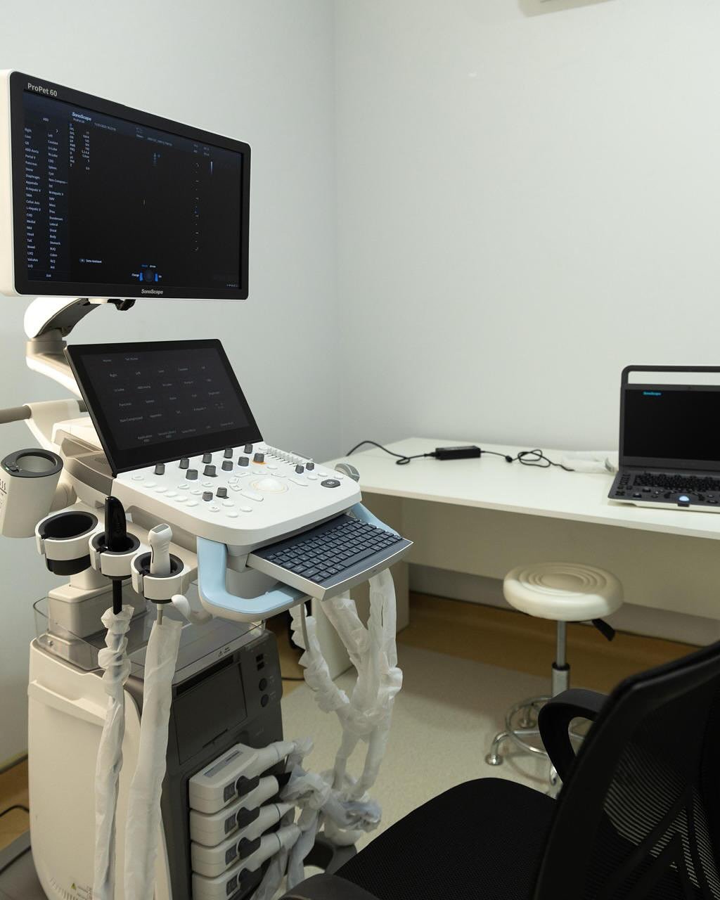 Alyona Əliyeva Lənkəranda Baytarlıq Klinikasının açılışı ilə bağlı paylaşım etdi - FOTO - foto 4