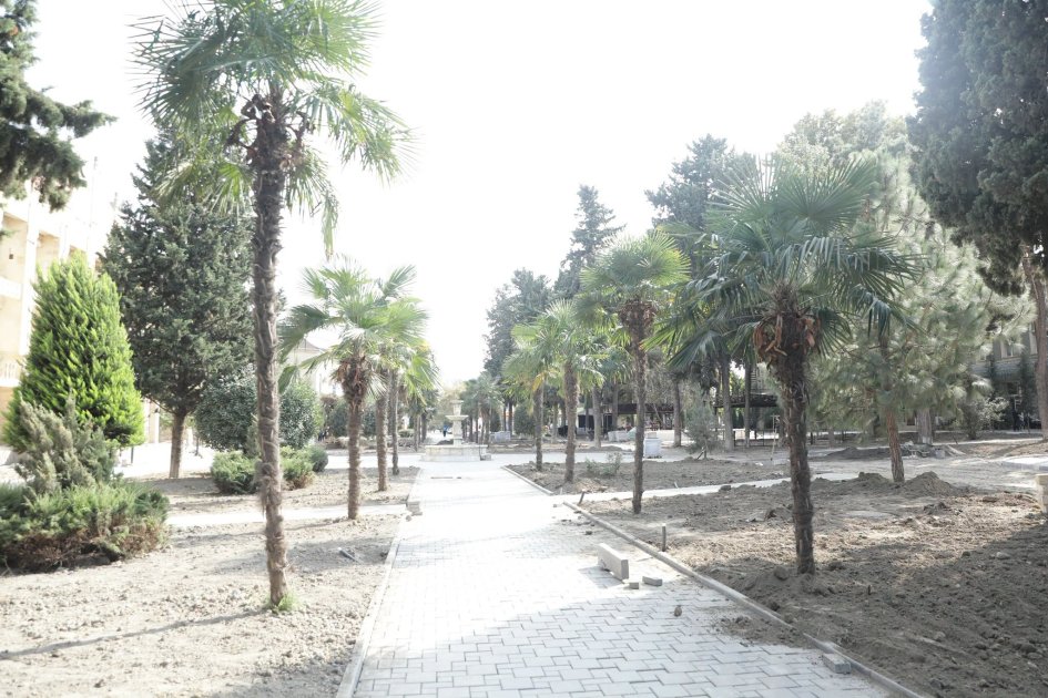 Xaçmaz sakinlərinə ŞAD XƏBƏR - Bu park yenilənir – FOTO - foto 3