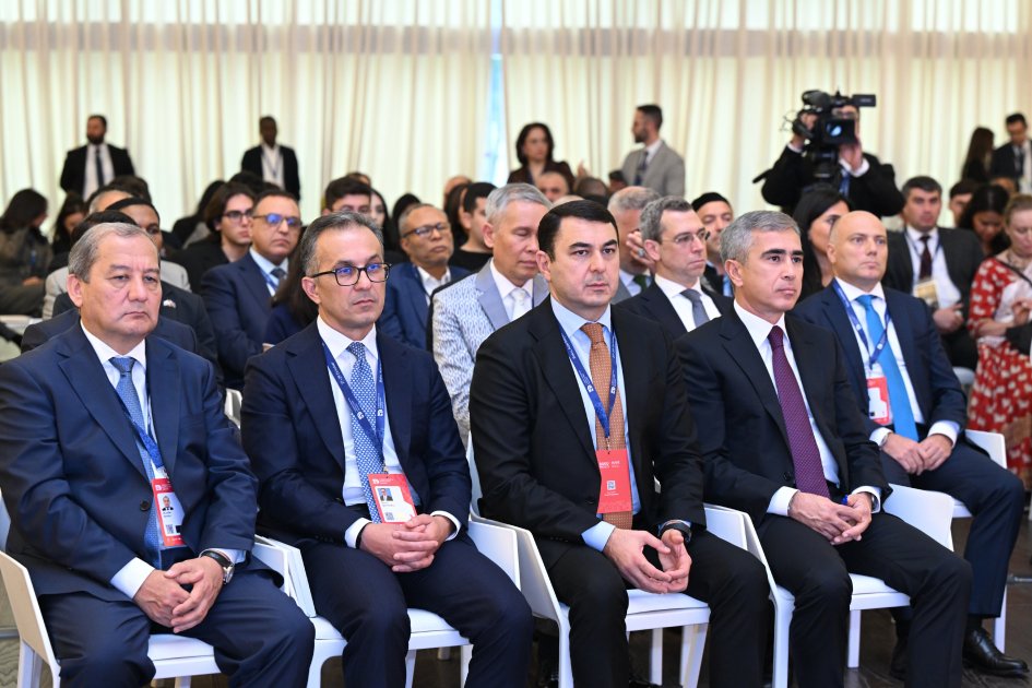 ICESCO-nun “Sülh kitabı”nın Azərbaycana həsr edilən III nəşrinin təqdimatı olub - FOTO - foto 7