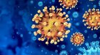 Yeni virus yayılır: Bu ölkədə karantin rejimi tətbiq olunacaq