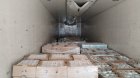 Azərbaycandan iki ölkəyə 3 tondan çox qurbağa ayağı İXRAC OLUNDU - FOTO