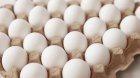 Azərbaycanda broyler yumurtaları BAHALAŞDI – VİDEO
