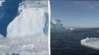 Yer kürəsi su altında qala bilər: Alimlər "Qiyamət buzlağı"nı necə xilas etmək istəyir?