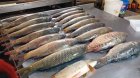 Azərbaycanda balıq bahalaşdı