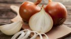 Soğan yemək üçün bir neçə SƏBƏB