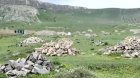 Abşeronda "ucuz torpaq" tələsi: Qanunsuz evlər artır - VİDEO