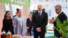 Prezident və ailəsi Beynəlxalq Kənd Təsərrüfatı Sərgisində - FOTO
