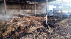 Fermerin 20 ton ot pressi yandı - FOTO/VİDEO