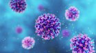 "Hantavirus"a qarşı peyvəndin olmamasının səbəbi AÇIQLANDI