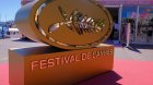 Kann festivalında qonağın səhhətinə görə filmin nümayişi dayandırıldı