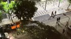 TƏCİLİ! Bakıda güclü külək ağacı avtomobilin üzərinə AŞIRDI &ndash; FOTO/VİDEO