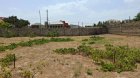 Bakıda əmlak bazarında BAHALAŞMA DALĞASI - Torpağın qiyməti sürətlə artır - CƏDVƏL