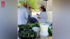 Qarabağa köçmüş sakinlərin məhsulları yarmarkaya çıxarıldı &ndash; FOTO/VİDEO