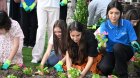 Leyla Əliyeva və Arzu Əliyeva Bakı Bulvarında mövsümi güllərin əkilməsi aksiyasında &ndash; FOTO