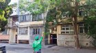 Bakıda ağaclarda dərmanlama işləri aparılır &ndash; FOTO