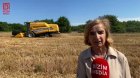 Əkin sahələri artsa da, məhsuldarlıq azalıb... &ndash; Xaçmazın taxıl zəmilərindən VİDEOREPORTAJ