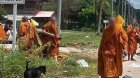 Azyaşlı avtomobili zəvvarların üstünə sürdü: 8 ölü, 13 yaralı var - VİDEO