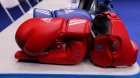 Azərbaycanın boks milliləri Türkiyəyə yollanıblar