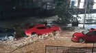 Tbilisi küçələri SU ALTINDA - VİDEO