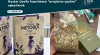 Özlərini &ldquo;həkim-diyetoloq&rdquo; kimi təqdim edib "arıqlama çayı" satdılar - VİDEO
