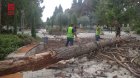 Gəncədə güclü küləyin törətdiyi fəsadlar &ndash; FOTO/VİDEO