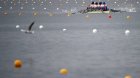 Timsahların məskunlaşdığı çayda Olimpiya yarışları keçiriləcək