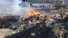 Təhlükəli mallar dövriyyədən çıxarılıb, məhv ediləcək &ndash; YENİ QAYDALAR