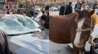 Bakıda minik avtomobili atla toqquşdu - VİDEO