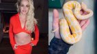 Sərxoş halda avtomobil idarə edən Britni Spirsdən AÇIQLAMA