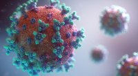 Koronavirus mədəaltı vəzini də sıradan çıxarır – Alimlər açıqladı