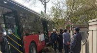 “BakuBus” ağaca çırpıldı - Sürücünün halı pisləşdi - FOTO