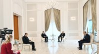 Prezident Türkiyənin Təhsil nazirini qəbul etdi - FOTO