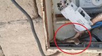 İlanların sayı artıb? – Bakıda işıq sayğacının içindən... - FOTO