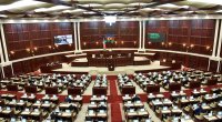 Parlament polisi döyən deputata görə toplanır