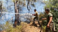 Muğlanın bir kəndi xilas olundu - Yanğınsöndürənlərimiz İŞ BAŞINDA - FOTO