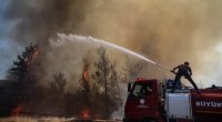 Canlı yayımda alovun içindən çıxan adam hamını heyrətə gətirdi - FOTO