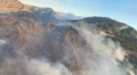Türkiyədə yenidən meşə yanğınları başladı - FOTO