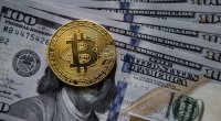 “Bitkoin”in dəyəri 55 min dollara yaxınlaşıb
