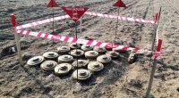 Azərbaycan Xorvatiyadan minatəmizləmə avadanlıqları aldı