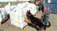 Gömrükçülərdən uğurlu əməliyyat, 218 kq heroin aşkarlandı - VİDEO