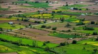 Bakıda torpaq kəskin ucuzlaşdı