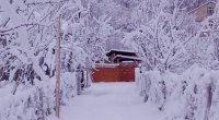 Qubanın Qrız kəndində 11 dərəcə şaxta var - FOTO