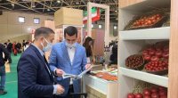 Azərbaycan məhsulları “Prodexpo 2022” sərgisində  - FOTO