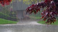 Bölgələrdə yağıntılı hava şəraiti davam edəcək - AÇIQLAMA