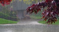 Bu rayonlarda qeyri-sabit hava şəraiti davam edəcək